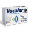 Vocaler For Hoarseness And Dryness In The Throat Blackcurrant 12 pastilles